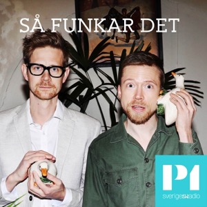 Så funkar det