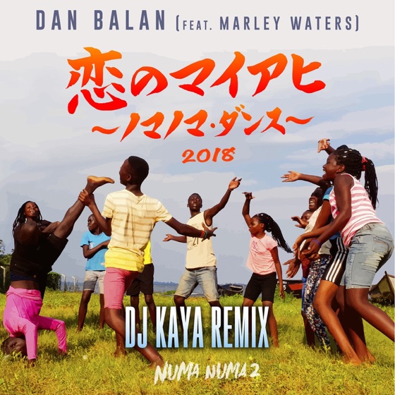 Cover artwork for Numa Numa 2 (Dj Kaya Remix)