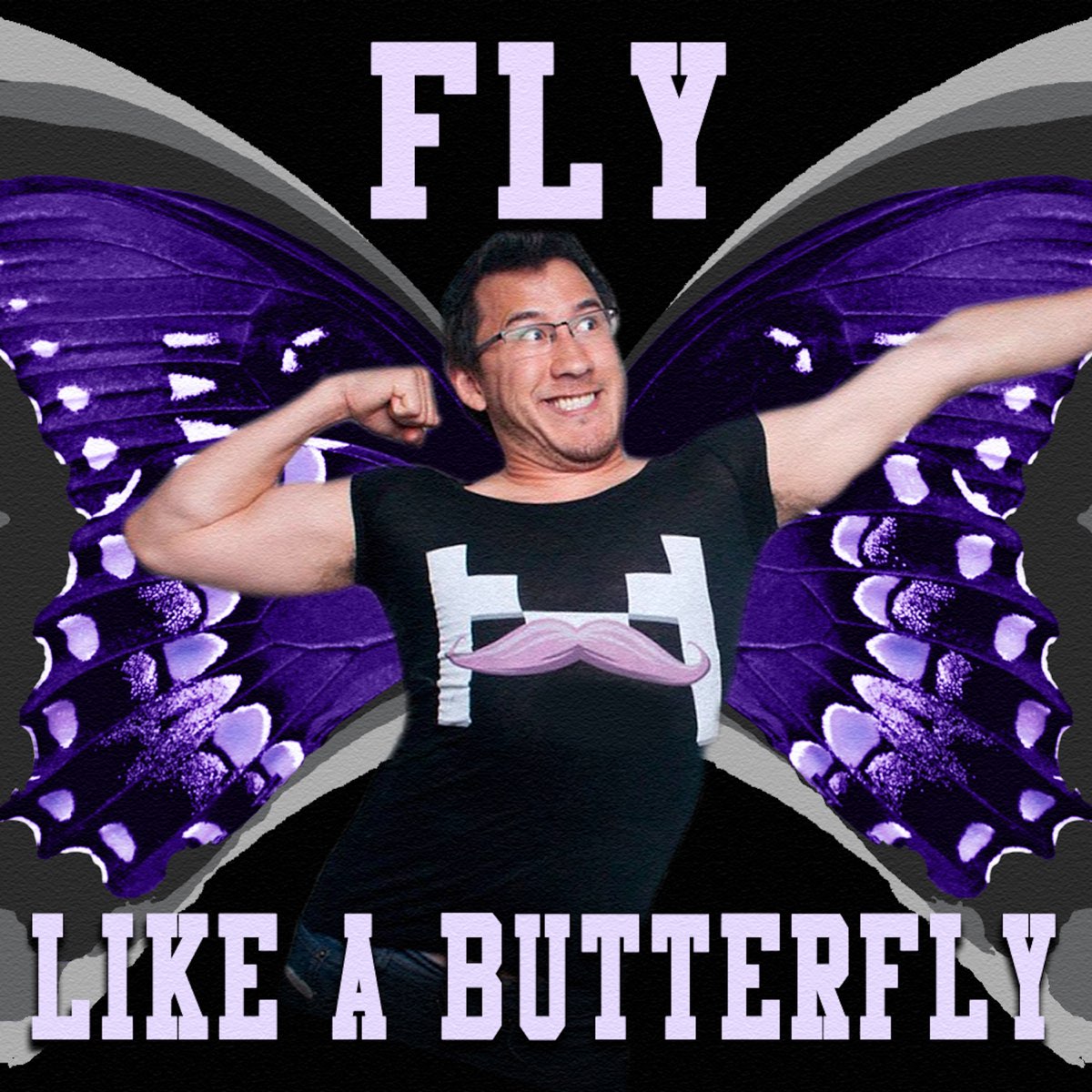 Песня fly like. Fly like a Butterfly песня. Fly like a Butterfly картинки. Gonzo Fly brothers. Album Covers Butterfly.