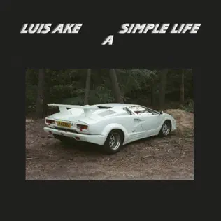 télécharger l'album Luis Ake - A Simple Life