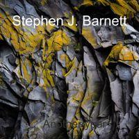 Stephen J. Barnett - Another Year artwork