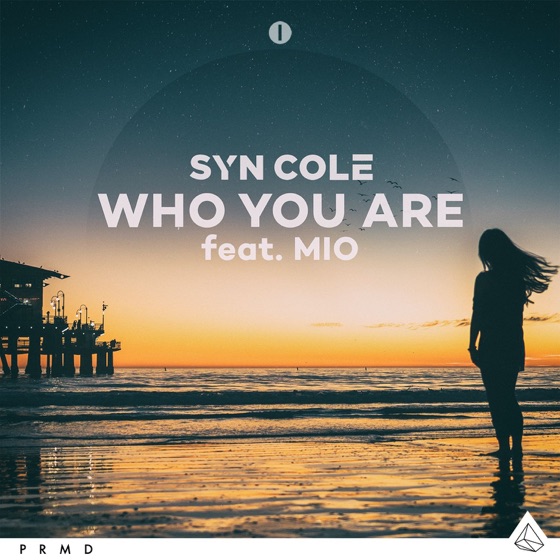 Cover artwork for Who You Are (feat. MIO)