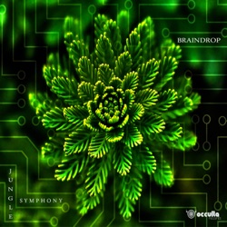 Braindrop - Wooden Vibration