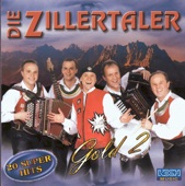 Die Zillertaler - A Musi ohne Geig'n