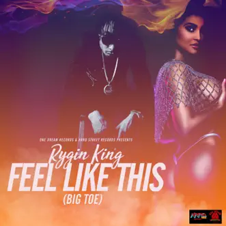 Feel Like This ( Big Toe) by Rygin King song reviws