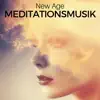 Meditationsmusik New Age: Musik für Yoga, Muskelentspannung, Reiki, Naturgeräusche Entspannungsmusik, Weniger Stress durch Autogenes Training album lyrics, reviews, download