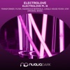 Electrolove Pt Iii - EP