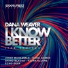 I Know Better (The Remixes), 2018