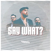 Say What? (Live) artwork