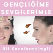 Gençliğime Sevgilerimle (Kelebeğin Hayat Sırları) artwork