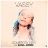 Vassy, Crazibiza & Dave Audé - Somebody New (feat. Sultan + Shepard)