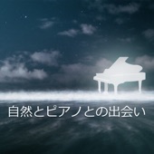 リラックスした音楽のアカデミー - 身体の調和