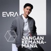 Jangan Kemana Mana - Single