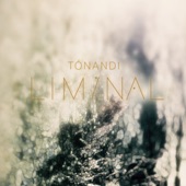 Liminal 3 artwork