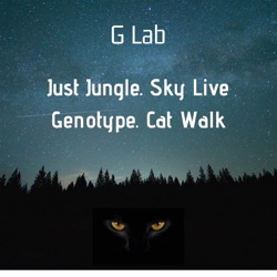 Just Jungle - Sky Live