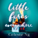 Celeste Ng - Little Fires Everywhere (Unabridged)