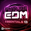 Future EDM Essentials, Vol. 13