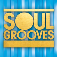 Various Artists - Soul Grooves artwork