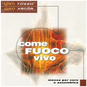 Come fuoco vivo artwork