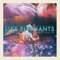 Between Dreams and Truth - Like Elephants lyrics