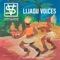 Lijadu Voices artwork