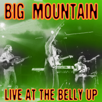Big Mountain - Live at the Belly Up artwork
