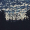 Where the Light Won't Reach - EP
