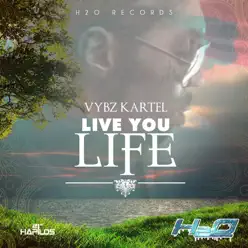 Live You Life - Single - Vybz Kartel