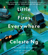 Celeste Ng - Little Fires Everywhere (Unabridged)