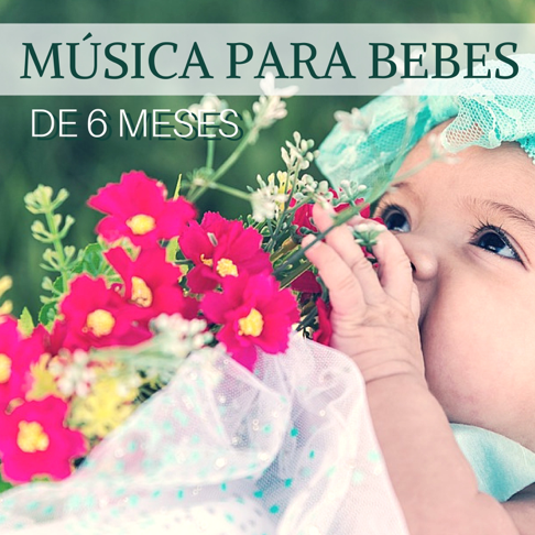 Musica Para Bebes Especialistas No Apple Music