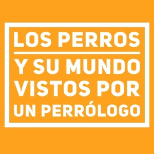Estrés postvacacional en el perro