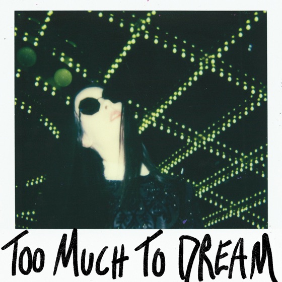 Cover artwork for Too Much to Dream