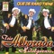 Tuve una Novia - Trio Alborada Hidalguense lyrics