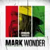 Working Wonders album lyrics, reviews, download