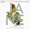Philip Glass - Jane - Grub is Born