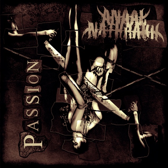 Cover artwork for Paragon Pariah