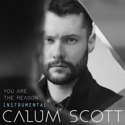 You Are the Reason (Instrumental) - Single - Calum Scott