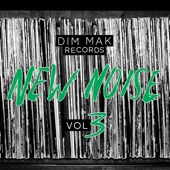 Dim Mak Records New Noise, Vol. 3 artwork