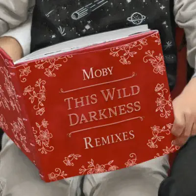 This Wild Darkness (Remixes) - EP - Moby