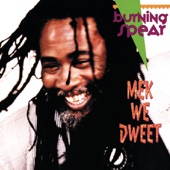 Mek We Dweet In Dub artwork