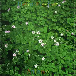 Antonio - Delia Fischer