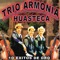 El Sonsolito - Trio Armonia Huasteca lyrics