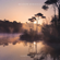 Meadow Mornings - Samuel Lindon
