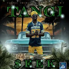 Seek - Single by Tangi album reviews, ratings, credits