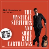 The Mystical Survivors and Some Rare Earthlings, Vol. 1 (Deluxe Edition) artwork