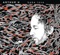 L'ivresse des hauteurs / Elias Basquiat - Arthur H, Jean-Louis Trintignant & Jean Louis Trintignant lyrics