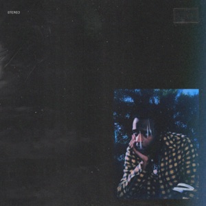 Cutting Ties - Single