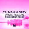 Winter Ocean (Theemotion Remix) - Single