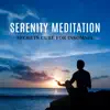 Serenity Meditation: Before Bedtime, 50 Secrets Cure for Insomnia album lyrics, reviews, download