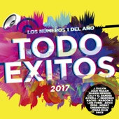 Todo Éxitos 2017 (Los Números 1 Del Año) artwork